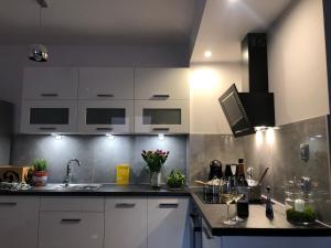 Kuchyňa alebo kuchynka v ubytovaní apartament Joanny Bator