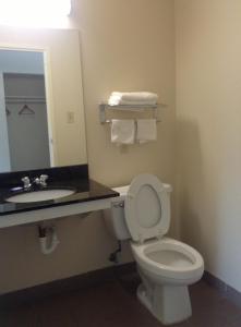 a bathroom with a toilet and a sink and a mirror at New Orleans Inn in New Orleans