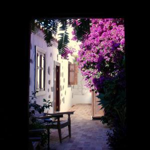 Casa Rural Palomar - Men Only外面的花园