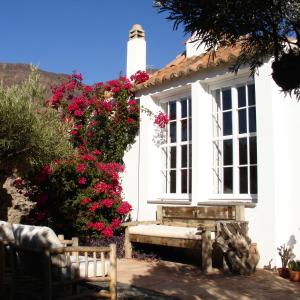 Casa Rural Palomar - Men Only外面的花园