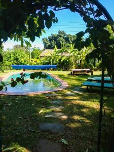 a swimming pool in a park with a picnic table at Kamunjila Lodge in Livingstone