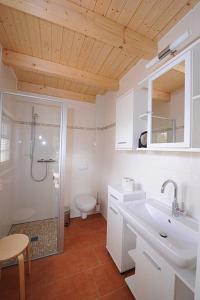 a bathroom with a shower and a sink and a toilet at Ferienwohnung Wildrose in Badbergen