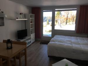 1 dormitorio con 1 cama, TV y mesa en Ferienwohnung Marion en Sankt Englmar