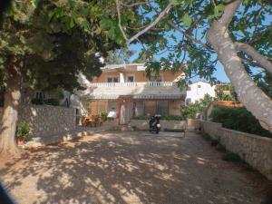 une grande maison avec un arbre en face dans l'établissement Apartments Plaža, à Ivan Dolac