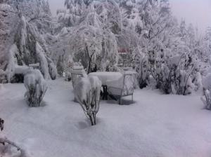 Sparsh Resort, A Boutique Stay - Just 2kms uphill from Mall Road, near Old Manali pozimi