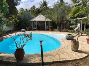 una piscina en un patio con árboles y cenador en Villa Jasmin avec piscine chauffée à 50m plage et lagon, en Saint-Gilles-les-Bains