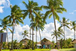 a group of palm trees in front of a house at Bangalo Praia dos Carneiros in Praia dos Carneiros