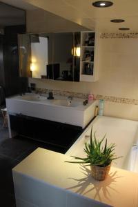 Fotografie z fotogalerie ubytování Chambres Privatives Chez l'Habitant v destinaci Guebwiller