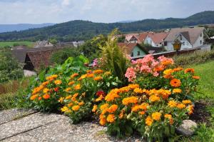Ein paar Blumen im Garten auf einem Hügel in der Unterkunft Gasthof Adler Güttingen in Güttingen