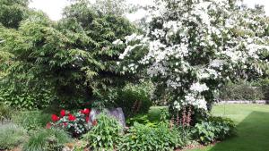 uma grande árvore com flores brancas num jardim em Apartments Magdalena em Radovljica