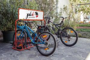 Rowery dostępne w obiekcie Weingut Jakob`s Ruhezeit lub w pobliżu