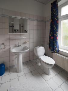 een badkamer met een toilet en een wastafel bij Terrassenwohnung-Loenneberger-im-Ferienhof-Nielson in Bisdorf