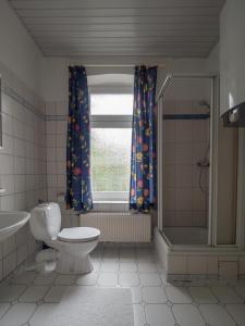 een badkamer met een toilet en een douche en een raam bij Terrassenwohnung-Loenneberger-im-Ferienhof-Nielson in Bisdorf