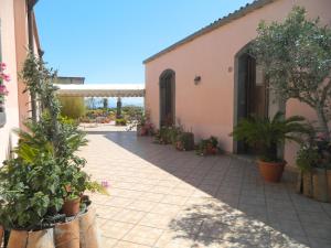 a courtyard of a building with potted plants at Agriturismo La Grevillea in Riposto