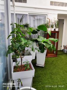 Zahrada ubytování Ô 3 parasols