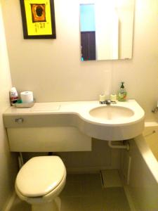 a bathroom with a sink and a toilet and a mirror at Tenjin Lodge in Minakami