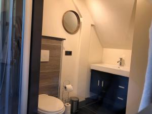 a bathroom with a toilet and a sink and a mirror at B&B Landgoed Bergerven in Horn