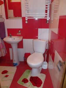 La salle de bains est pourvue de toilettes et d'un lavabo. dans l'établissement Квартира-студия в стиле Шале, à Trouskavets