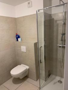 ein Bad mit einem WC und einer Glasdusche in der Unterkunft Studio les pieds dans l'eau Plage du Trottel in Ajaccio