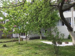 Κήπος έξω από το Квартира-студія Шале