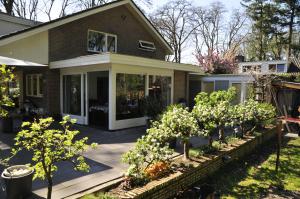 Zahrada ubytování B&B Porcini