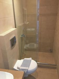 a bathroom with a toilet and a glass shower at Pension Sofia Amorgos-Katapola in Katapola