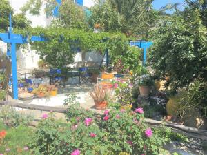 a garden with lots of plants and flowers at Pension Sofia Amorgos-Katapola in Katapola