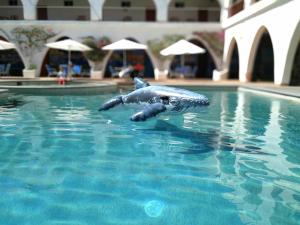 einem Plastikdolphin im Wasser in einem Pool in der Unterkunft Hotel Hacienda Bugambilias La Paz in La Paz