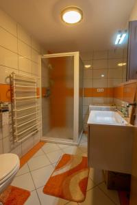 W łazience znajduje się prysznic, umywalka i toaleta. w obiekcie Vineyard cottage Hočevar w mieście Novo Mesto