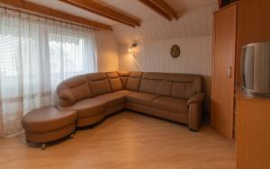 a living room with a couch and a television at Vineyard cottage Hočevar in Novo Mesto