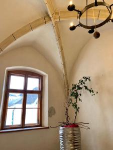 Ảnh trong thư viện ảnh của Rathauskeller Melk ở Melk