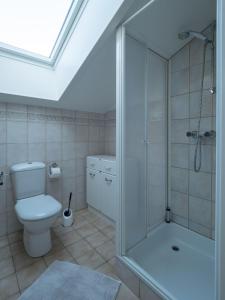 a bathroom with a toilet and a glass shower at Ferienwohnung-Himmelblau-auf-dem-Ferien-Bauernhof-Nielson-in-Bisdorf-in-Inselmitte in Bisdorf