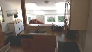 a kitchen with a sink and a counter top at Ferienwohnung-Rosenrot-auf-dem-Ferien-Bauernhof-Nilson-in-Inselmitte in Bisdorf
