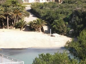 una playa de arena con palmeras y agua en Villa Cel, en Cala en Blanes