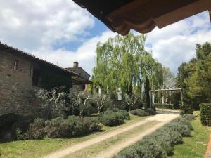 a house with a tree and a dirt road at Agriturismo Materno in Radicondoli