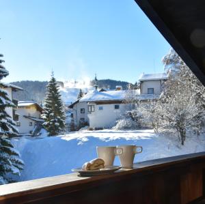 Family Friendly Chalet - Central with Beautiful Mountain Views v zime