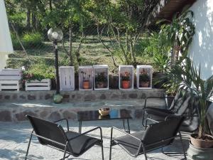 a group of chairs and a table with potted plants at la casa nel sole in Alessandria