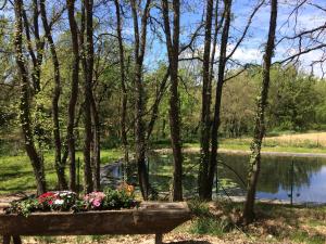 a bench with flowers on it next to a lake at Mobil Home à la ferme, en Provence in Grambois