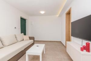 Televízia a/alebo spoločenská miestnosť v ubytovaní Apartmani Mustaća dvori