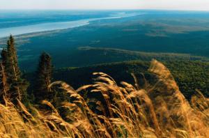 a view from the top of a mountain with tall grass at Auberge du sportif in Saint-Tite-des-Caps