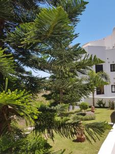 Ein Garten an der Unterkunft Apartamento Lujo Calaceite