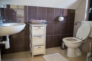 uma casa de banho com um WC e um lavatório em Beekeeping Kojek em Ribnica