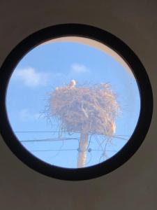 Fotografia z galérie ubytovania Alojamiento Rural El Soldao v destinácii Medina Sidonia