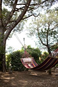 Vonkajšia záhrada v ubytovaní Camping Dolce Sole
