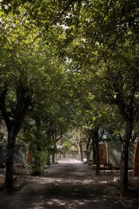 ścieżka wysadzana drzewami z ławkami i namiotami w parku w obiekcie Camping Dolce Sole w mieście Marina di Massa