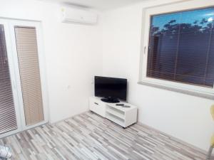 TV a/nebo společenská místnost v ubytování Studio apartman Matković