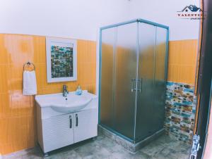 y baño con ducha y lavamanos. en Valentina Apartments en Gevgelija