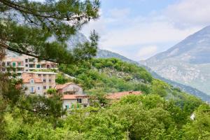 a village on a hill with mountains in the background at Studio apartments Morinj in Donji Morinj