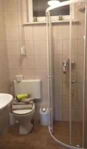 La salle de bains est pourvue de toilettes et d'une douche en verre. dans l'établissement Domki w BOSZKOWIE, à Boszkowo