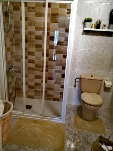 a bathroom with a shower and a toilet in it at La casa de la abuela in San Lorenzo